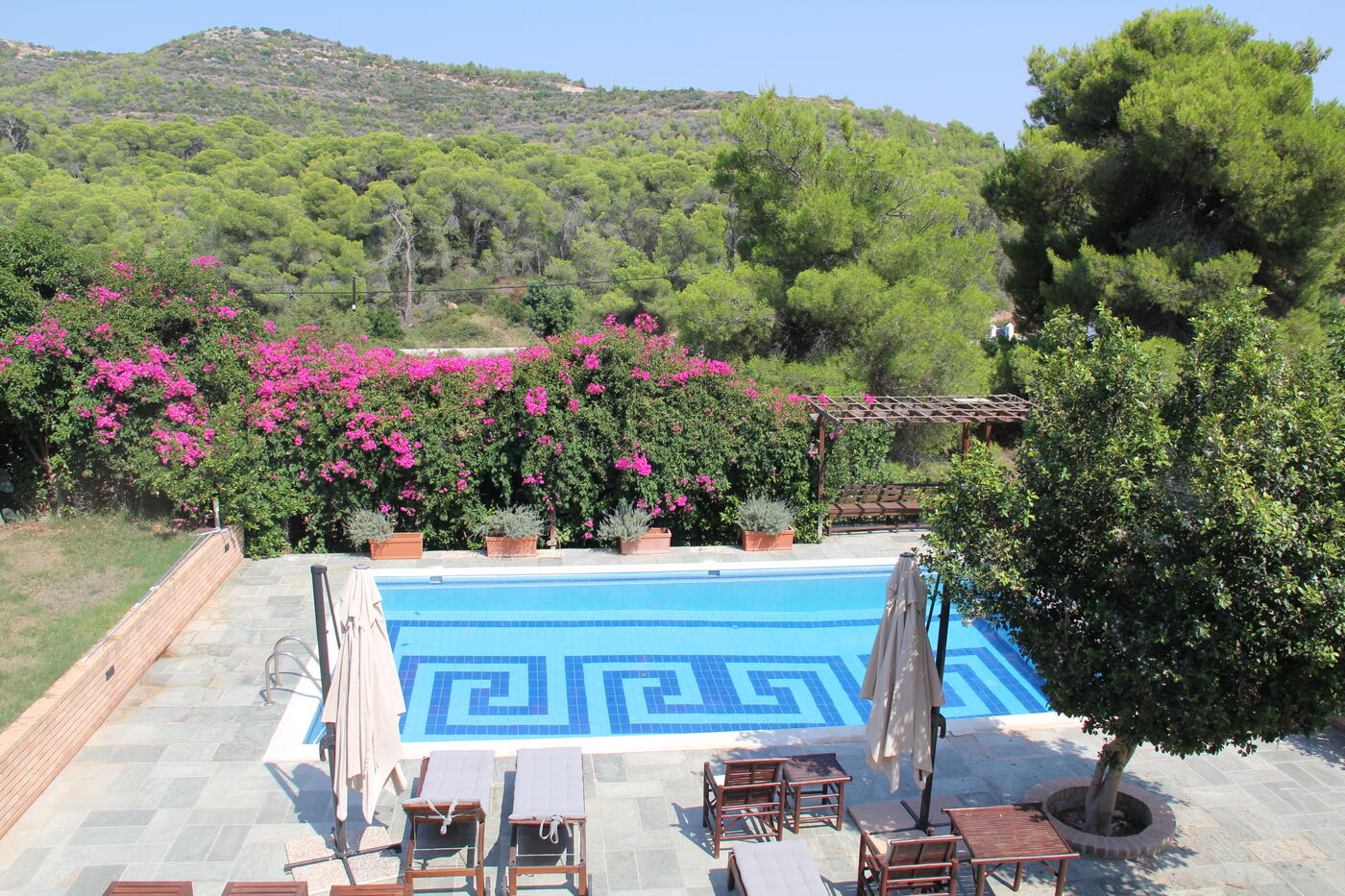 Pool mit Bougainvillea